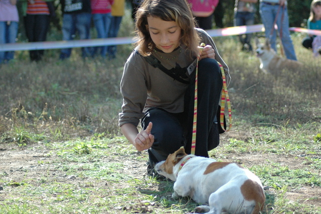 DSC_4863.JPG zvtit
